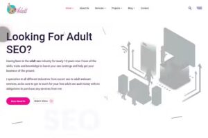 Adult Web Seo