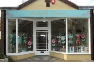 Butterflies Lingerie