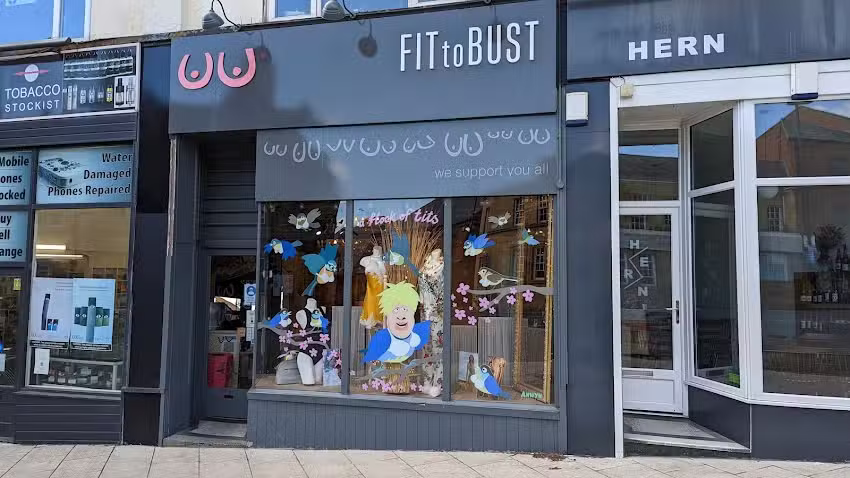 Fit To Bust