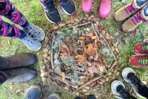 Wild things! Environmental Education in Action